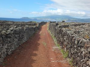 Path to the sea