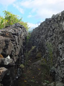 narrow pathway