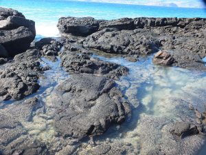 Tidal pool