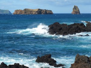 Pounding Surf