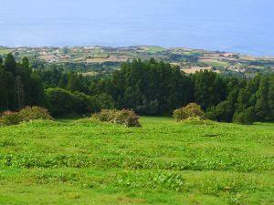 View to the coast