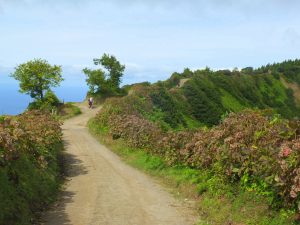 Rim trail