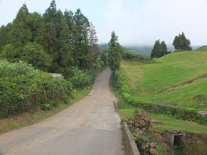 Trail view