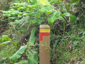 right turn trail marker