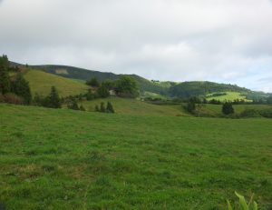 view from trail