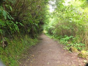 trail