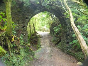 beneath an aqueduct