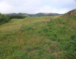 Trail view