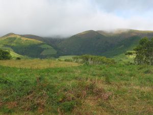 Trail view
