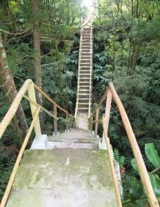 steps to bridge