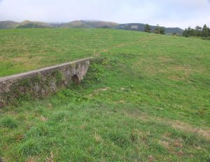 Trail view