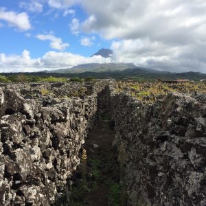 Ponta do Pico
