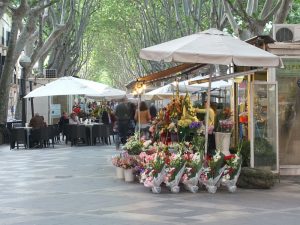 PalmaImpressions - aramblaDSCF9877.jpg