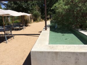 TexasYDSTED - IMG_4425.jpg