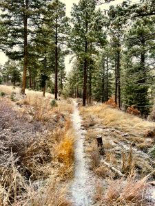 WinterHikingSouthernRockies - a1192.jpg